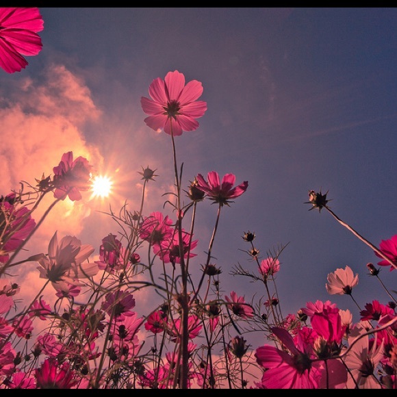 Want AEO 0 regular jeggings or super stretch jeans - Picture 1 of 1